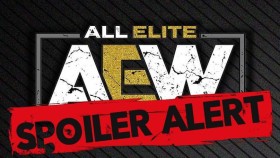 SPOILER: Pro placenou akci AEW Worlds End byl potvrzen zápas o světový titul