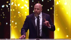 WWE Hall of Fame 2025 (18.04.2025)