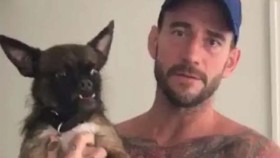 CM Punk zveřejnil fotografii zranění svého psa po potyčce s The Elite