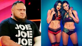 Zákulisní informace o propuštěných hvězdách WWE