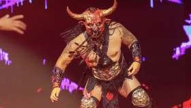 Hvězda AAA pod kontraktem s WWE neúmyslně udeřila mladou fanynku na nedávné show