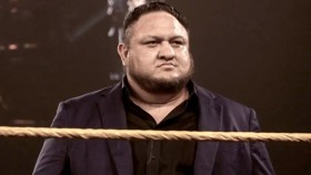 Samoa Joe se bude starat o pořádek v NXT, Odhalení The Diamond Mine