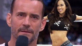 CM Punk objasnil, proč nedojde k návratu AJ Lee do ringu