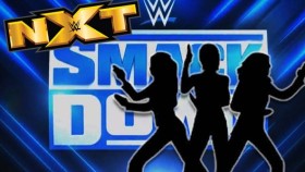 WWE zrušila plán pro vytvoření čistě ženské frakce