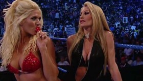 Torrie Wilson nesměla zmínit manželku Brocka Lesnara ve svém projevu na WWE HOF