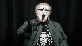 Sting chtěl odejít do důchodu jako „Old Man Sting”, reakce na výzvy k ještě jednomu zápasu