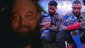Bray Wyatt ani ne za měsíc sesadil The Bloodline z trůnu
