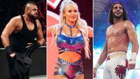 WWE pokračuje v čistkách. Propuštěni byli Dana Brooke, Mansoor a další