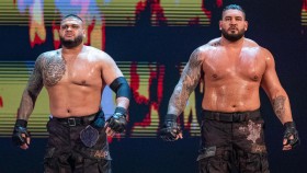 WWE propustila The Authors of Pain