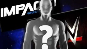 Propuštěná hvězda WWE se vrátila do IMPACT Wrestlingu