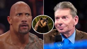 Vince McMahon chtěl, aby The Rock zápasil s medvědem