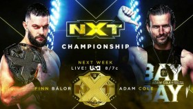 WWE potvrdila velké oznámení a titulové zápasy pro příští show NXT