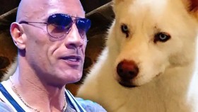 The Rock pokračuje ve verbálním útoku na psa Codyho Rhodese