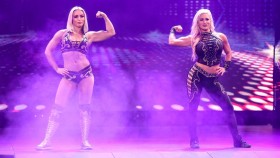 Důvod, proč WWE stáhla Mandy Rose a Brooke ze Survivor Series zápasu