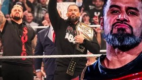 Zapojí se nová posila WWE do příběhu The Bloodline?