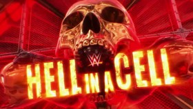 Která TOP hvězda WWE je na plakátu Hell in a Cell?