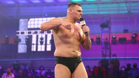 WWE čelí velké kritice poté, co WALTER dostal v NXT 2.0 nové ringové jméno