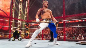 Reakce wrestlingového světa na to, že zraněný Cody Rhodes zápasil na Hell in a Cell