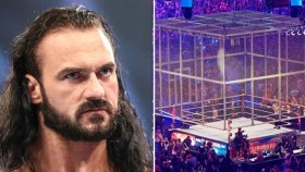 Pět TOP wrestlerů WWE, kteří zatím neměli Hell in a Cell zápas