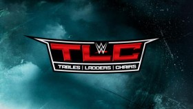 Další spoiler z placené akce WWE TLC