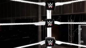 Propuštěná hvězda WWE se rozhodla skončit s wrestlingem