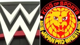 Byl oznámen debut bývalé hvězdy WWE v NJPW