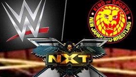 Velký update o jednáních mezi WWE a NJPW