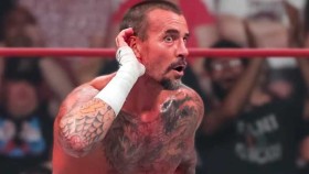 CM Punk po propuštění z AEW nemá příliš mnoho dalších možností