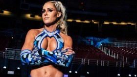 Zúčastní se Michelle McCool ženského Royal Rumble zápasu?