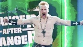 Sheamus: Už mě nebaví žádat WWE, aby mi vrátila mou nástupovku