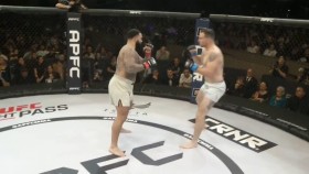 Další dominantní vítězství bývalé hvězdy WWE Gablea Stevesona v MMA