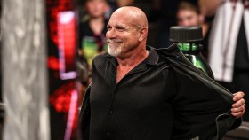Triple H prohlásil „nikdy neříkej nikdy“ o dalším zápase Goldberga v ringu WWE