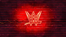 Seznam návratilců do WWE pod vedením Triple He
