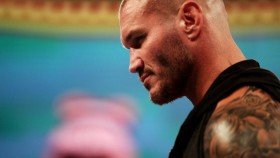 RAW Preview: Pokračování feudu Wyatt vs. Orton, Nightmare before TLC segment