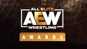 AEW Award 2021: A vítězi jsou ...