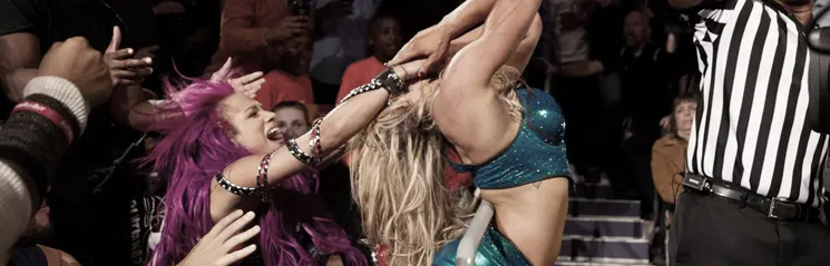 Falls Count Anywhere match