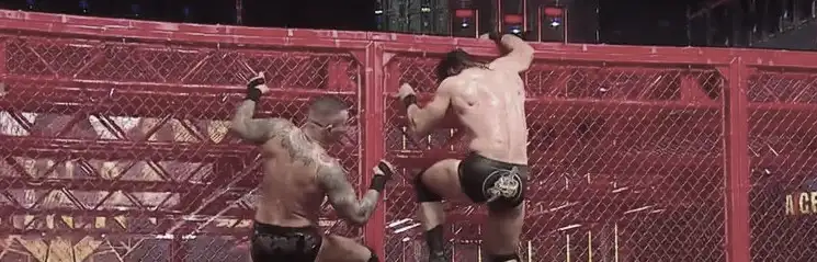 Hell in a Cell match