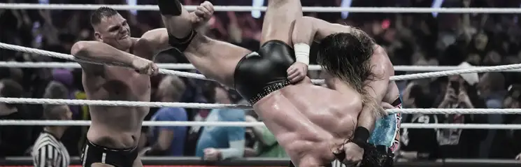 Royal Rumble match