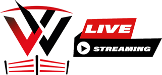 Live Stream Logo