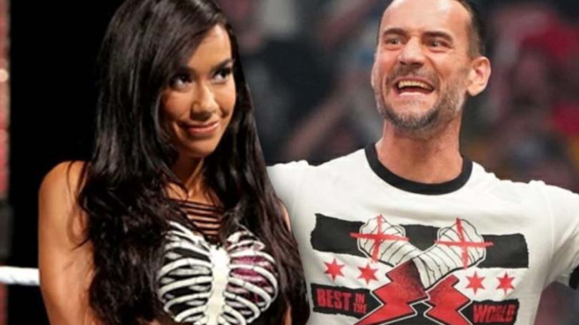 AJ Lee & CM Punk