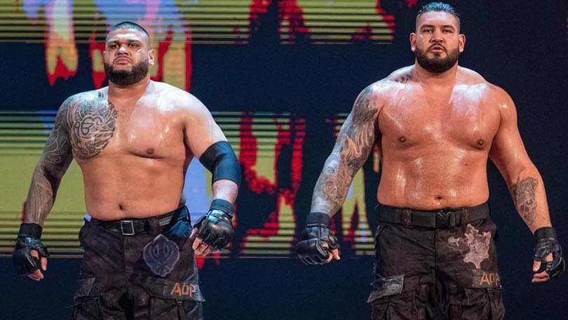 The Authors of Pain