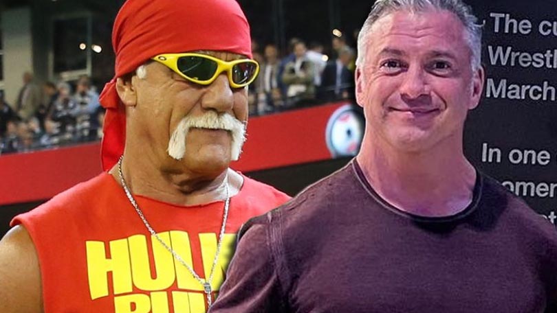 Hulk Hogan & Shane McMahon