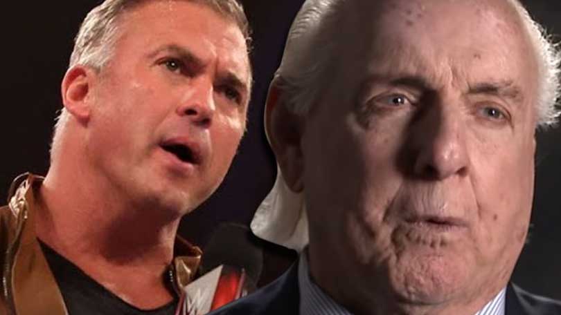 Shane McMahon & Ric Flair