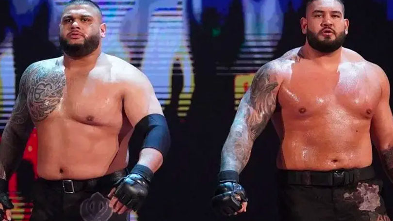 The Authors of Pain