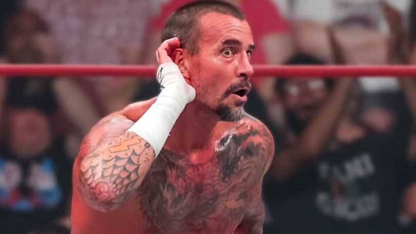 CM Punk