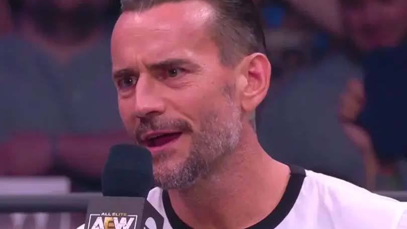 CM Punk