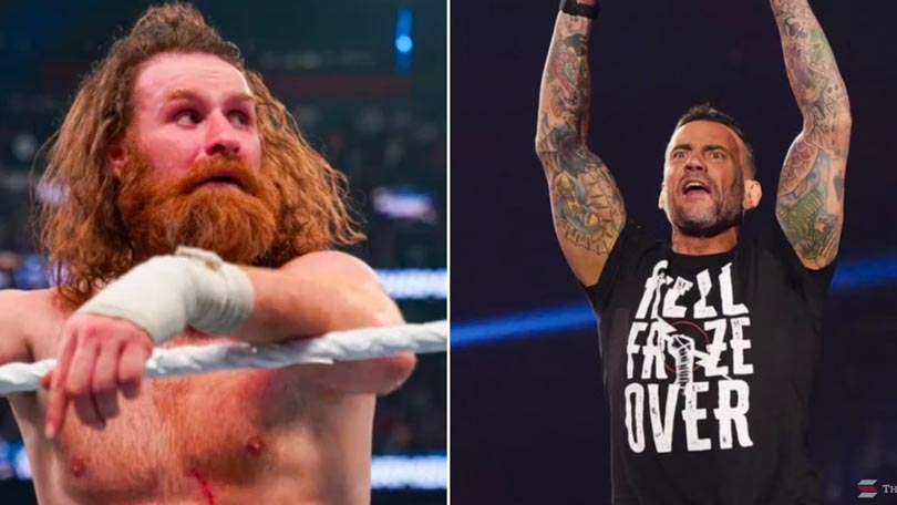 Sami Zayn & CM Punk