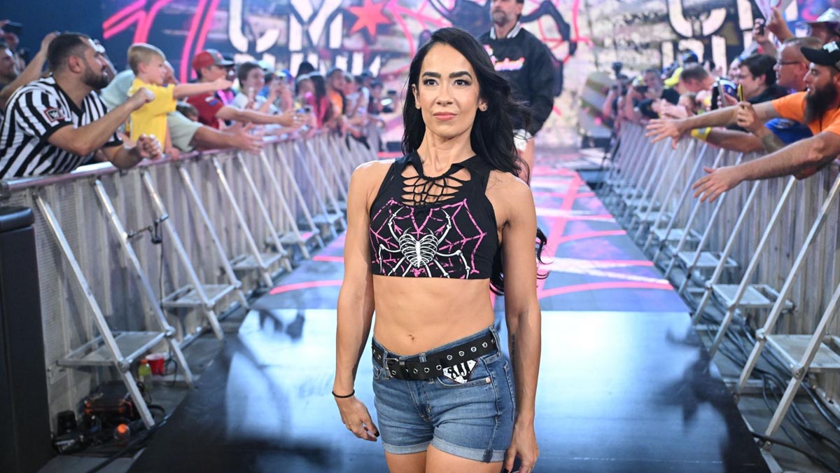 AJ Lee se možná nějaký čas neobjeví v WWE