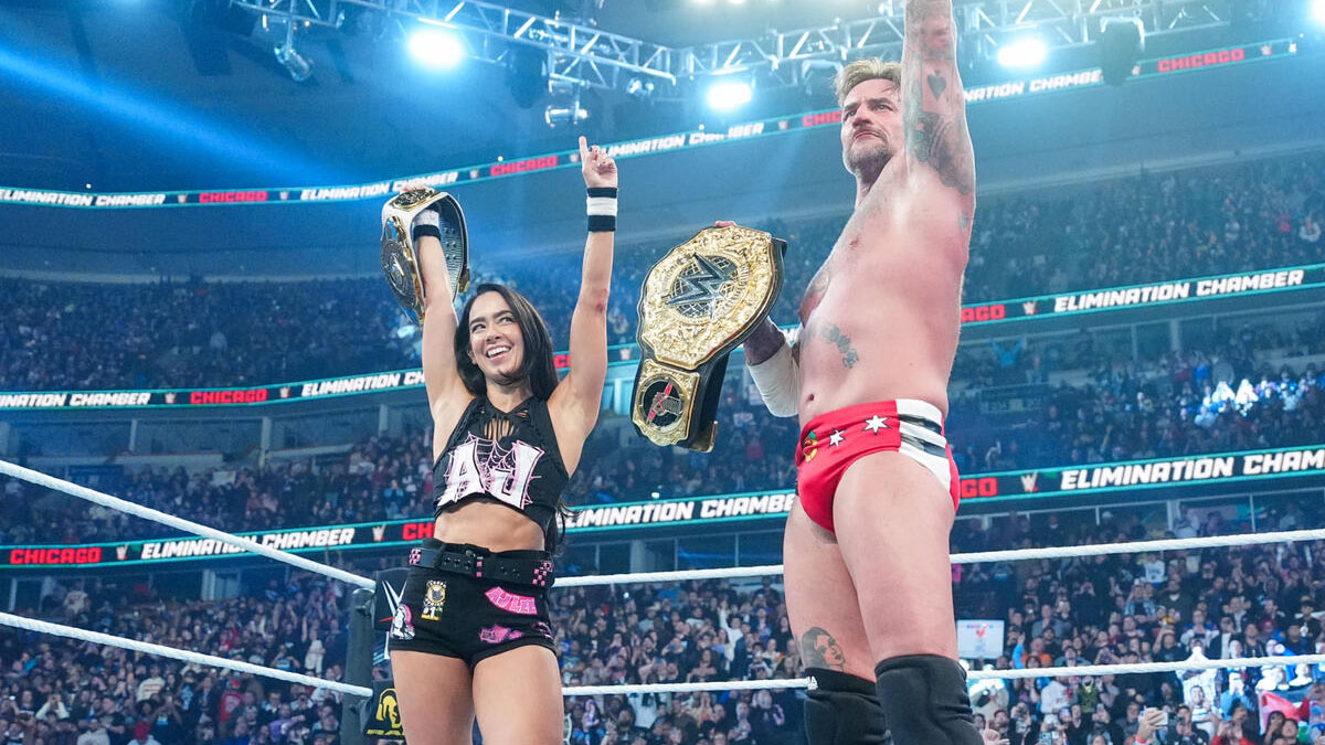 AJ Lee & CM Punk