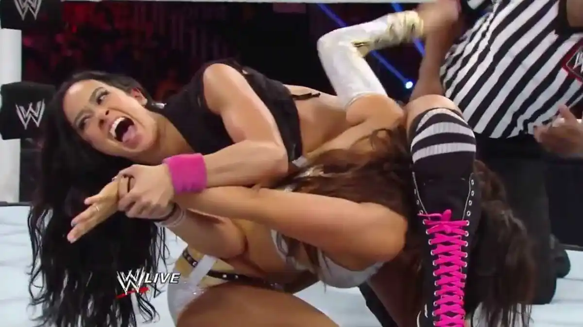 AJ Lee vs. Layla